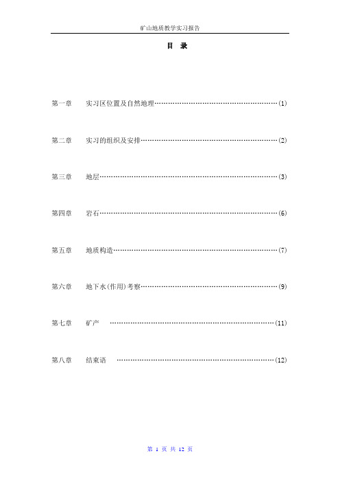巢湖地质实习报告