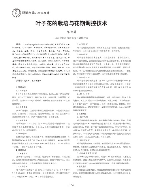 叶子花的栽培与花期调控技术