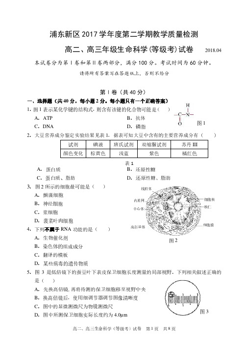 2018年二模--浦东