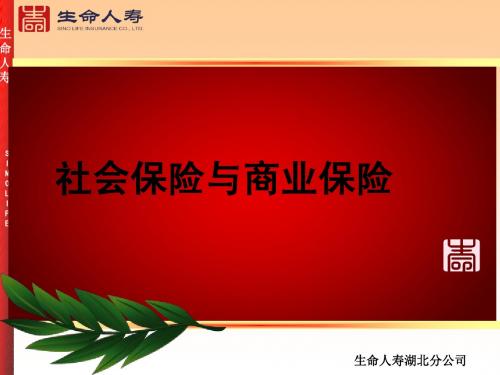 社保与商保 李雯铮 生命版