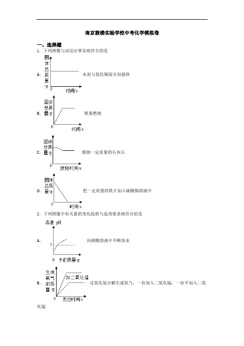 南京鼓楼实验学校中考化学模拟卷