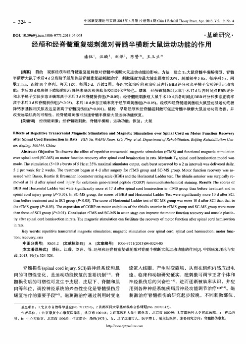 经颅和经脊髓重复磁刺激对脊髓半横断大鼠运动功能的作用