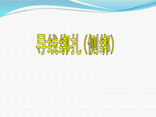 10kV导线侧绑