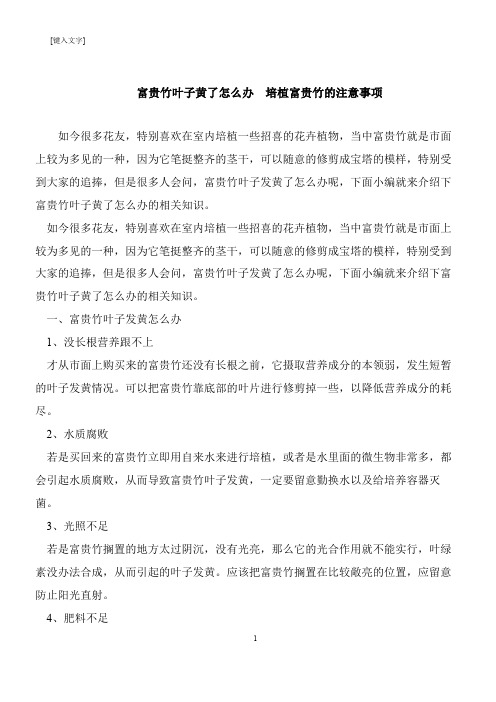 【推荐下载】富贵竹叶子黄了怎么办  培植富贵竹的注意事项