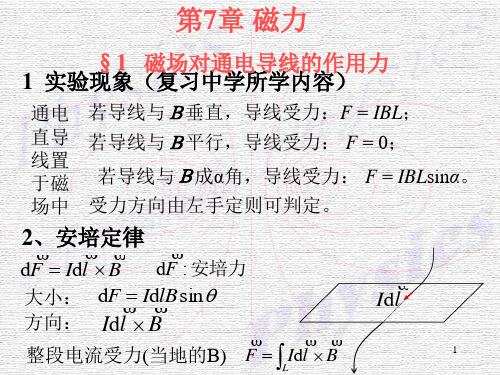 (新)磁力知识(PPT 20页)_