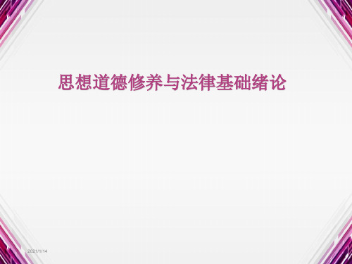 思想道德修养与法律基础绪论ppt课件