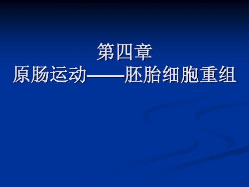 7动物个体发育-原肠运动