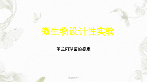 微生物学检验第3版葡萄球菌微生物设计性实验课件