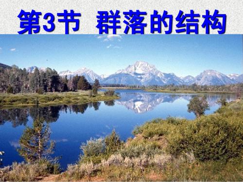 群落的结构