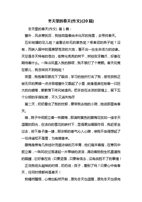 最新冬天里的春天(作文)(20篇)