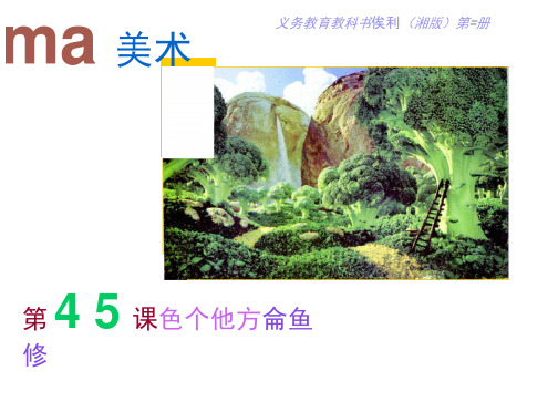 四年级上册美术课件_第十五课这个地方有点怪湘美版1
