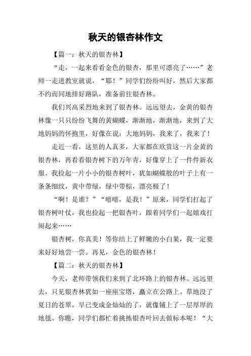 秋天的银杏林作文