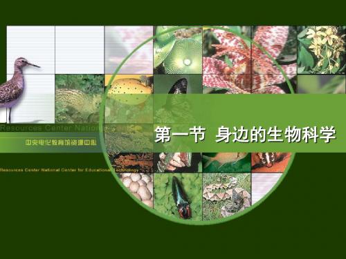 1.1《身边的生物科学》课件