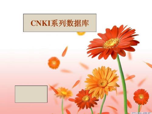 CNKI数据库