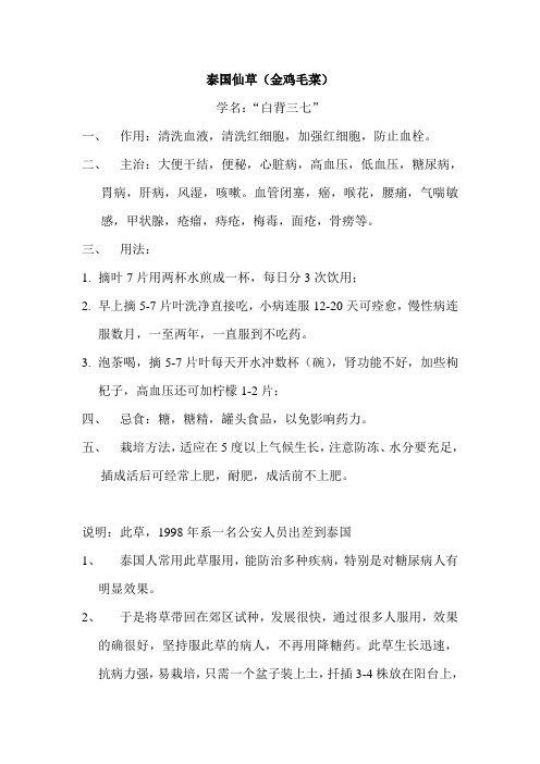 泰国仙草