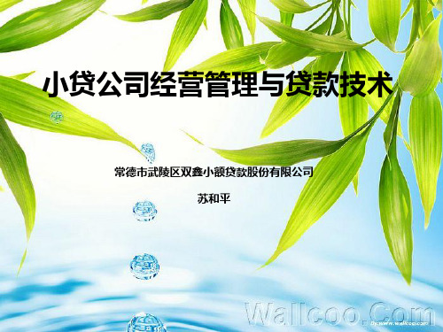 贷款技术微贷调查法