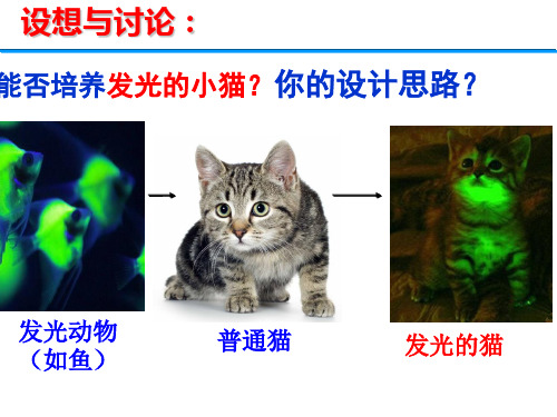 苏教版高中生物必修二第四章第四节基因工程及其应用(共26张PPT)