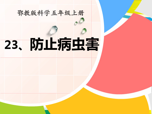 《防治病虫害》农田PPT课件【完美版课件】