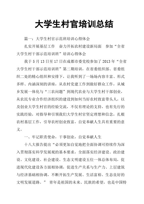 大学生村官培训总结