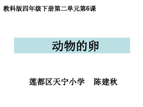 四下二6动物的卵陈建秋PPT课件