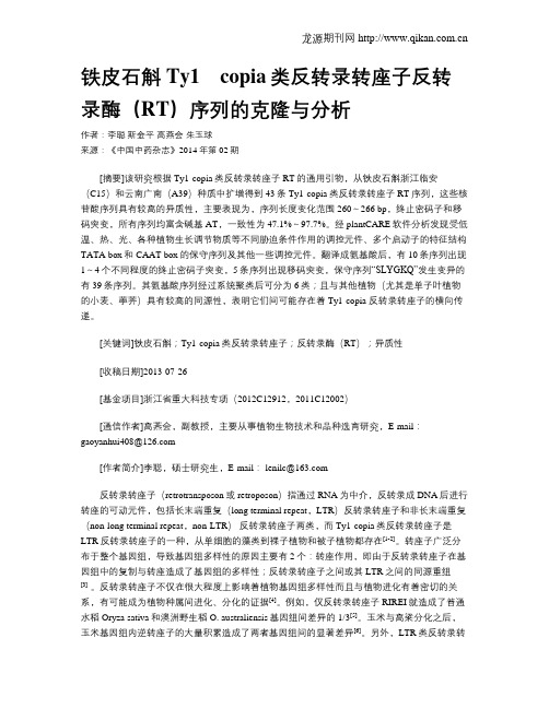 铁皮石斛Ty1_copia类反转录转座子反转录酶(RT)序列的克隆与分析