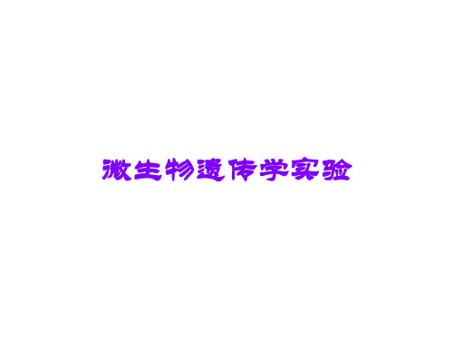 微生物遗传学实验