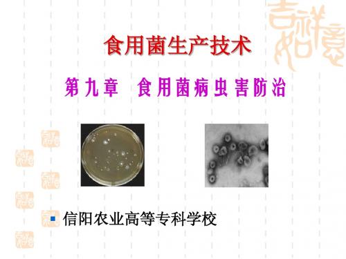 食用菌生产技术 24病虫害防治