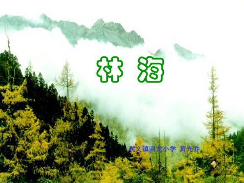 小学语文六年级自读课文《林海》课件