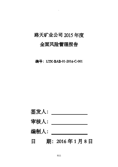201X年度全面风险管理报告