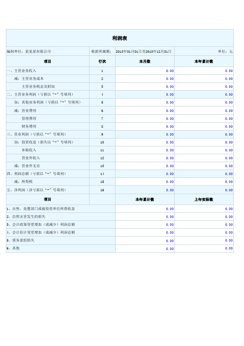 2017国税局最新利润表模板