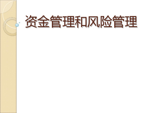 资金管理和风险管理PPT课件