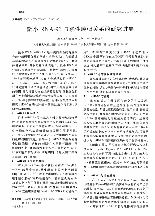 微小RNA-92与恶性肿瘤关系的研究进展