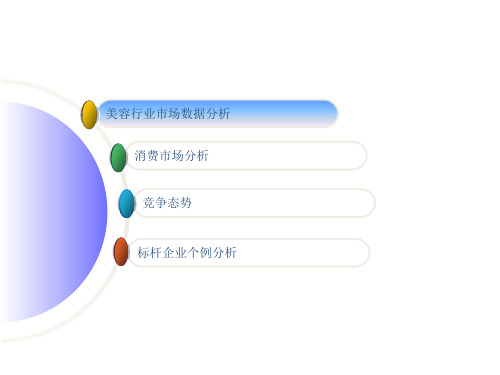 美容美体行业分析