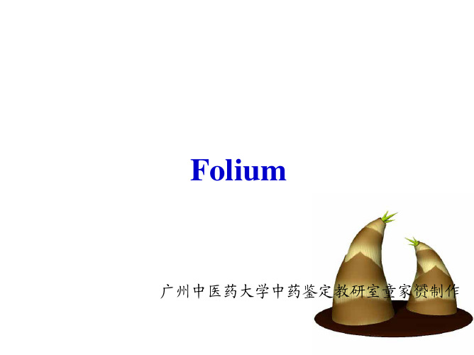 叶类中药