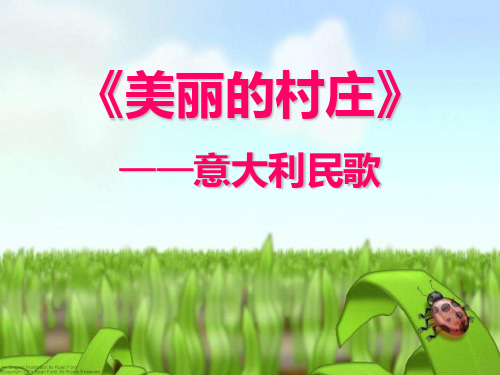 《美丽的村庄》PPT课件5