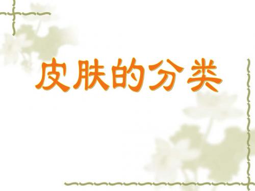 皮肤的分类PPT课件