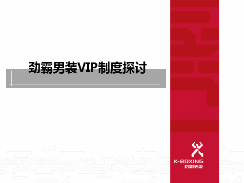 劲霸男装VIP制度探讨