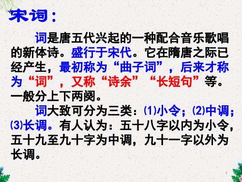 初三语文人教版上学期 词四首 42张【李洁雄】