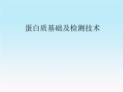 蛋白质基础及检测技术