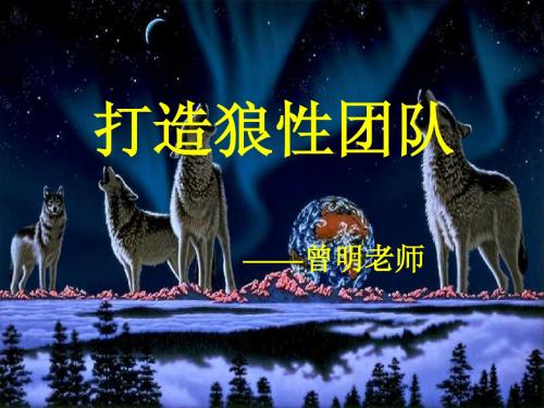 打造狼性团队