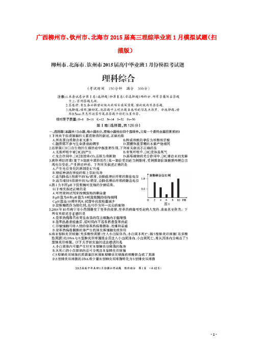 广西柳州市、钦州市、北海市高三理综毕业班1月模拟试题(扫描版)