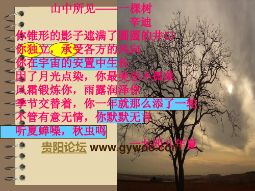 诗歌材料审题作文