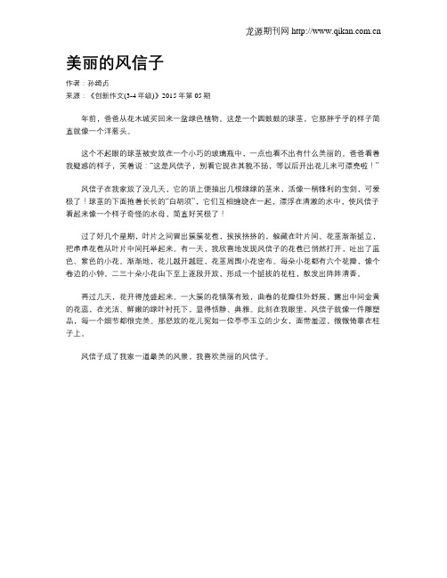 美丽的风信子