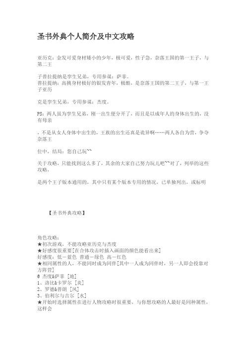 圣书外典攻略