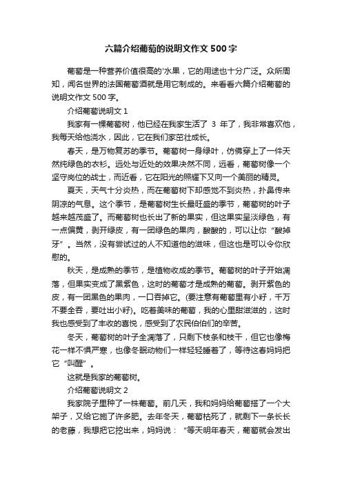 六篇介绍葡萄的说明文作文500字