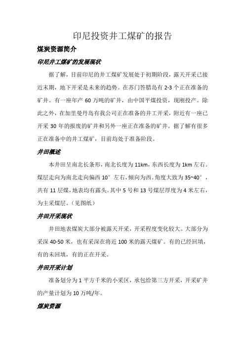 印尼投资井工煤矿的报告