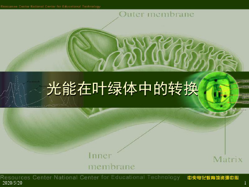 光能在叶绿体中的转换