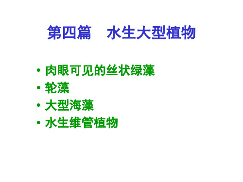 20水生维管束植物