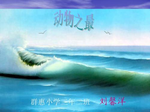 动物之最