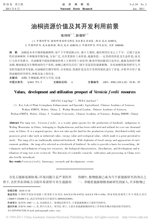 油桐资源价值及其开发利用前景_张玲玲